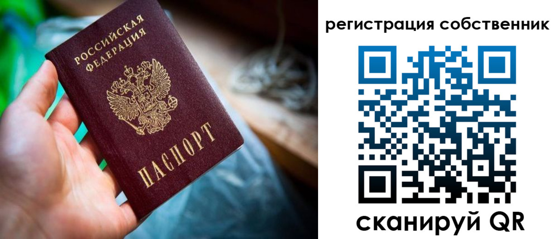 прописка гарантия в Кремёнках